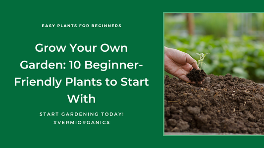 10 Easy Plants To Grow If You Are A Beginner