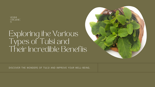 Types Of Tulsi & Its Benefits