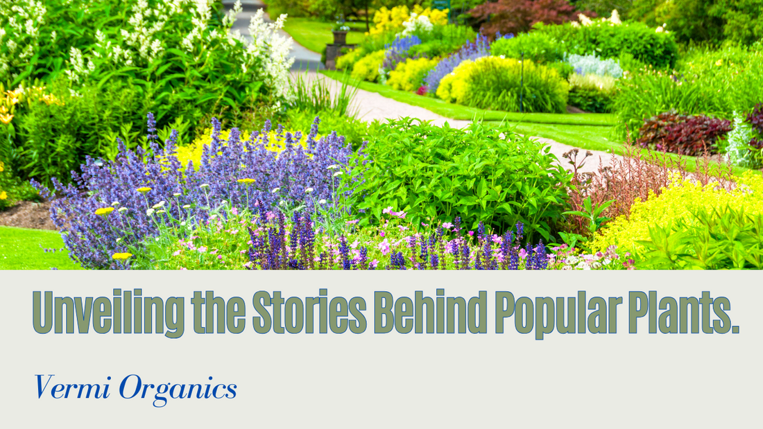 Beyond Beauty: The History and Symbolism of Popular Plants