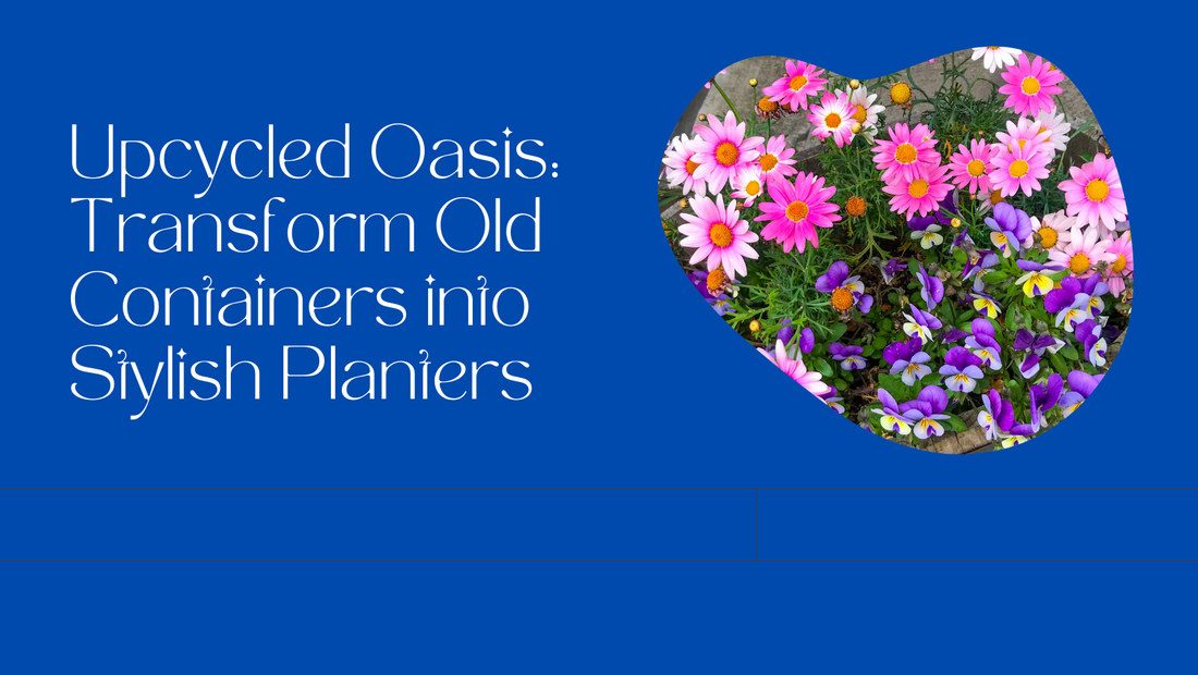 Upcycled Oasis: Transform Old Containers into Stylish Planters