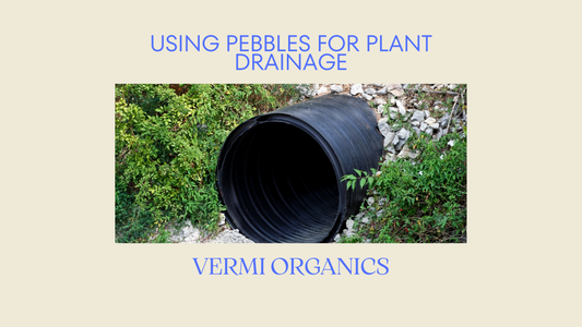 How to Use Pebbles for Plant Drainage