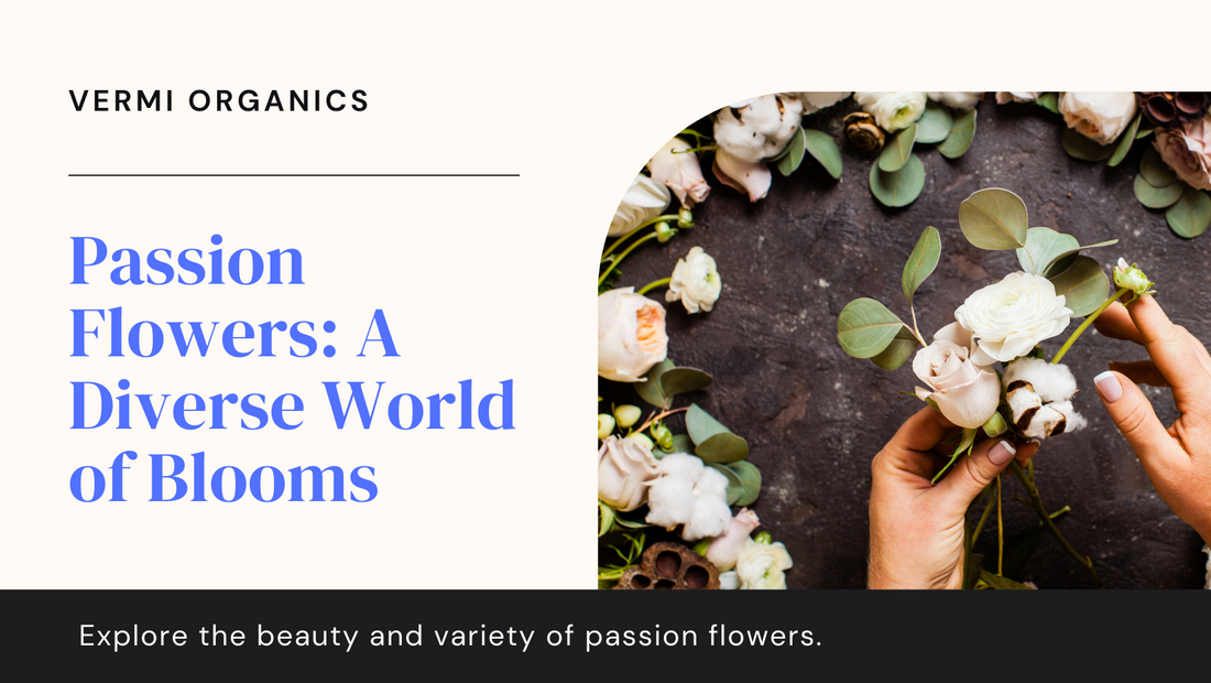 Passion Flowers and their Countless Varieties