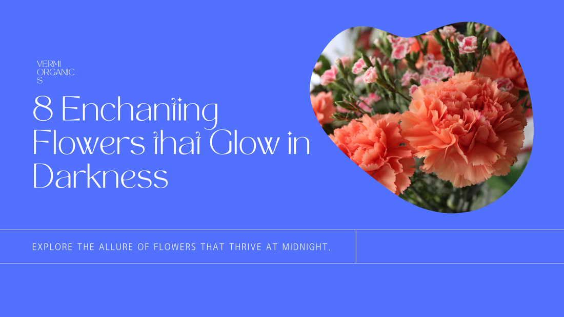 Midnight Mystique: 8 Flowers that Bloom in The Dark
