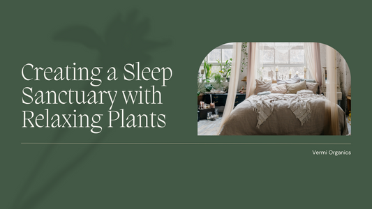 Sleep Sanctuary: Plants to Promote Relaxation and a Good Night's Sleep