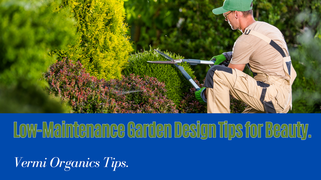 Garden design tips for low-maintenance beauty