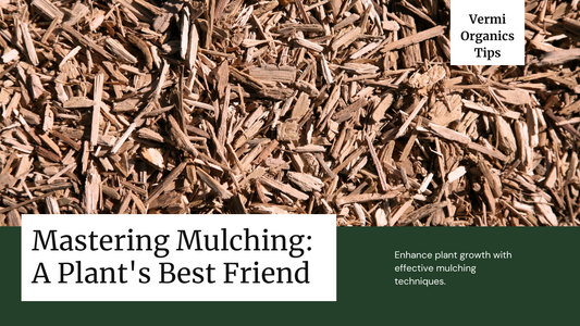 Mulching: benefits and tips for effective mulching