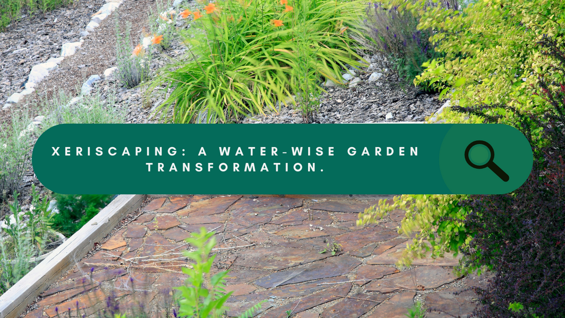 Xeriscaping: creating a beautiful and water-wise garden