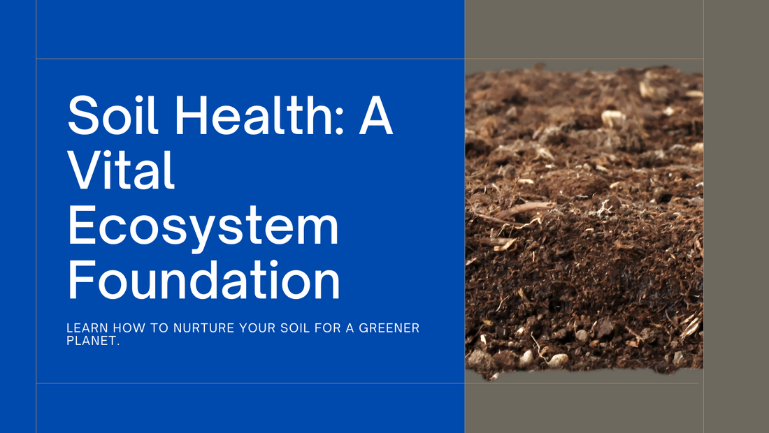 The importance of soil health and how to improve it
