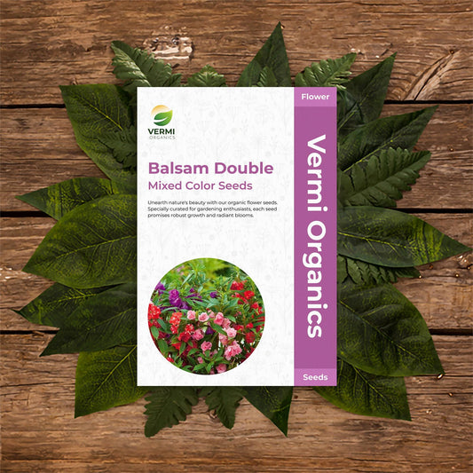 Balsam Double Mixed Color - Flower Seeds pack of 50