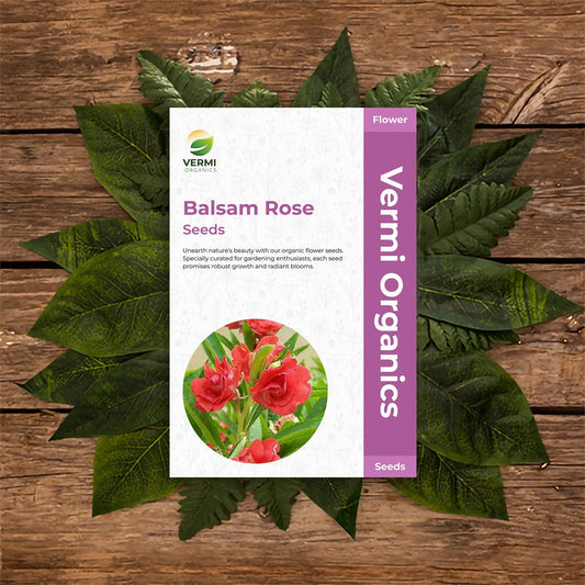 Balsam Rose, Balsam Gulab - Flower Seeds pack of 100