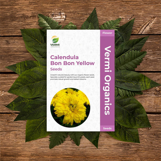 Calendula Bon Bon Yellow, Pot Marigold, English Marigold, Poets Marigold - Flower Seeds