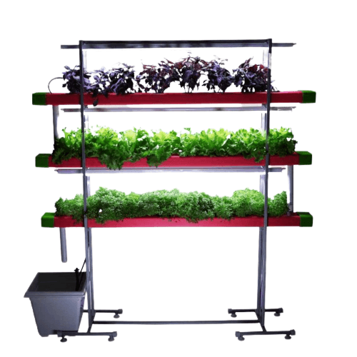 24 Plants Indoor Hydroponic NFT System