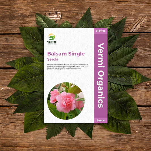 Balsam Single - Flower Seeds Pack of 100