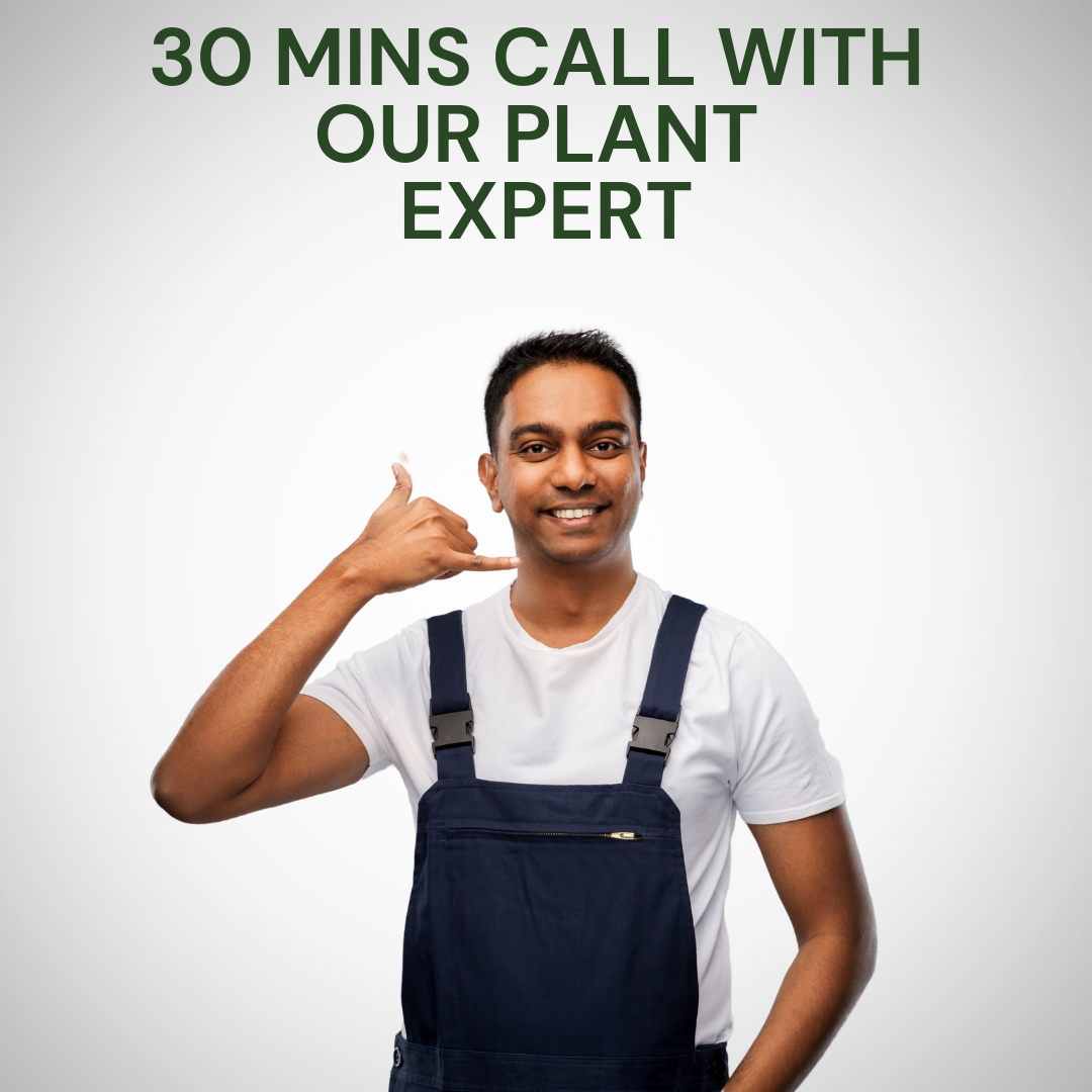 Book a 30 minute call with Plant Expert
