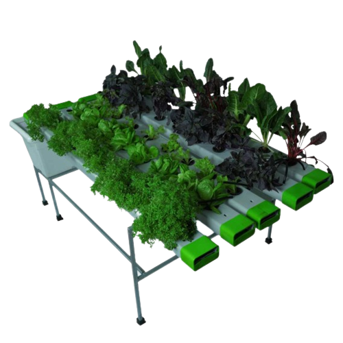 40 Plants Outdoor Hydroponic NFT System