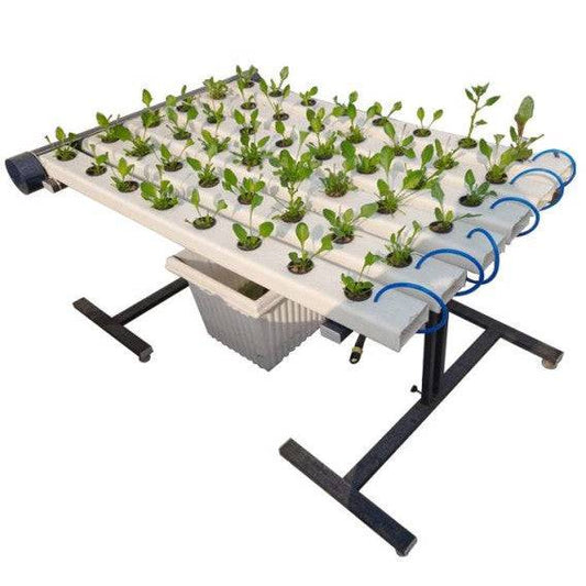 48 Plants Outdoor Hydroponic NFT System