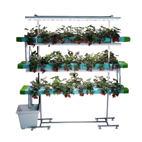 48 Plants Indoor Hydroponic NFT System
