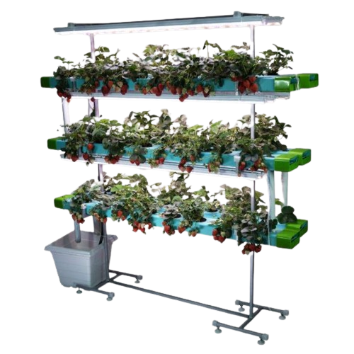 48 Plants Indoor Hydroponic NFT System