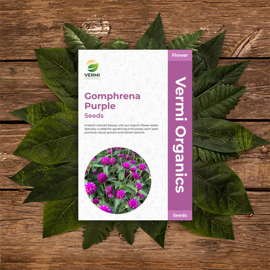 Gomphrena Purple -  Flower Seeds pack of 50