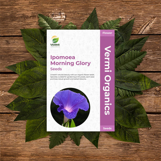 Ipomoea Morning Glory - Flower Seeds pack of 30
