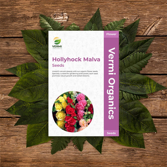 Hollyhock Malva, common mallow, cheeses, high mallow and tall mallow - Flower Seeds pack of 40