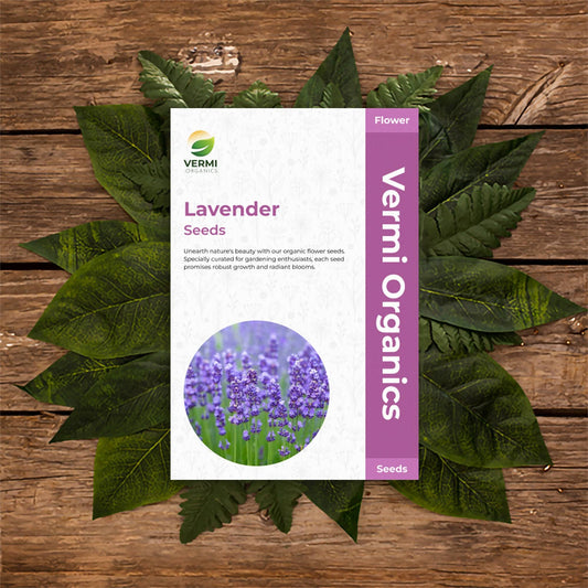 Lavender - Flower Seeds of 50