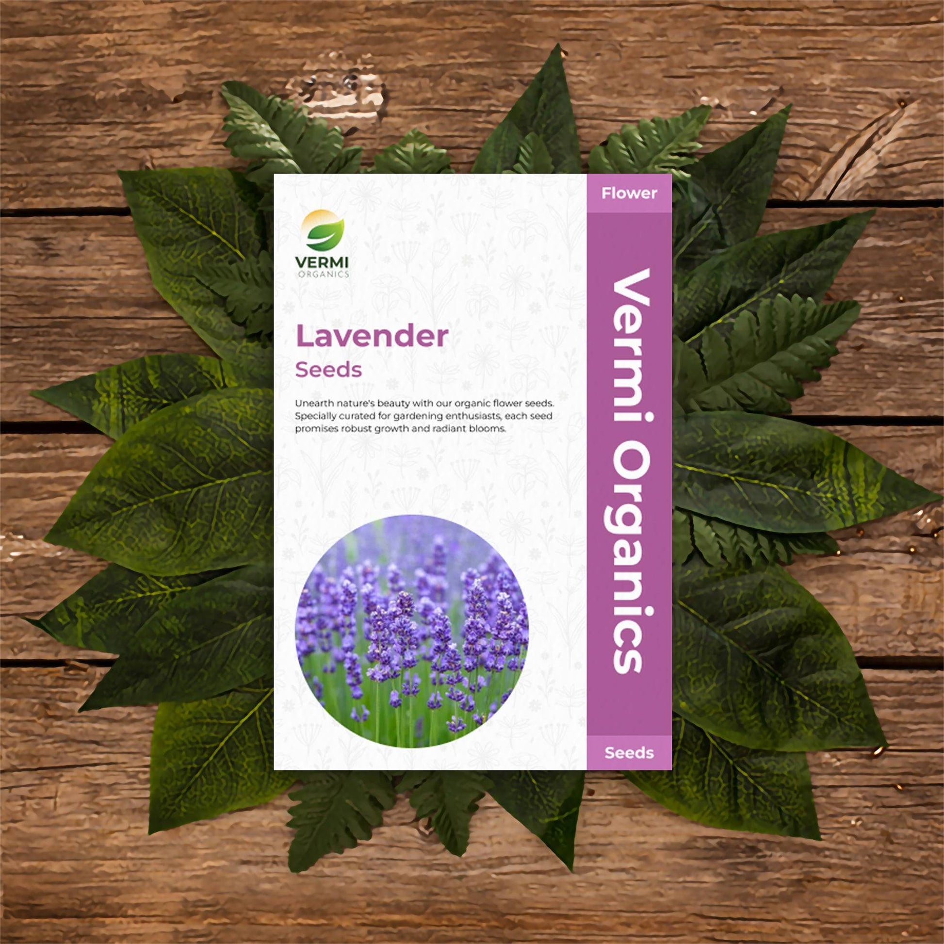 Lavender - Flower Seeds of 50