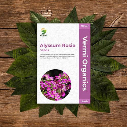 Alyssum Rosie O Day - Flower Seeds Pack of 100