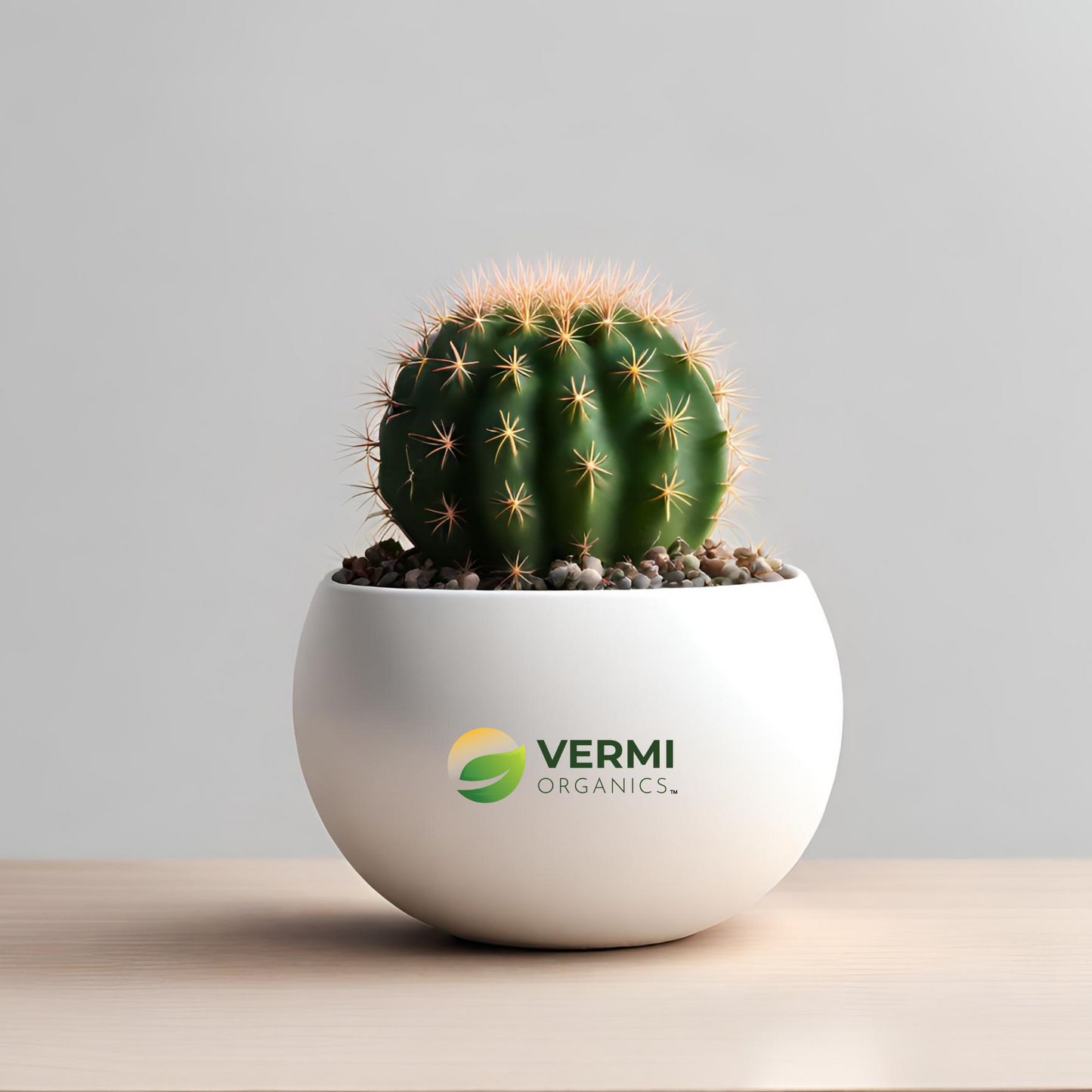 Small cactus spherical bowl (3in Ht)