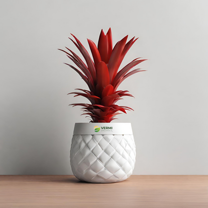 Pineapple Red Plant