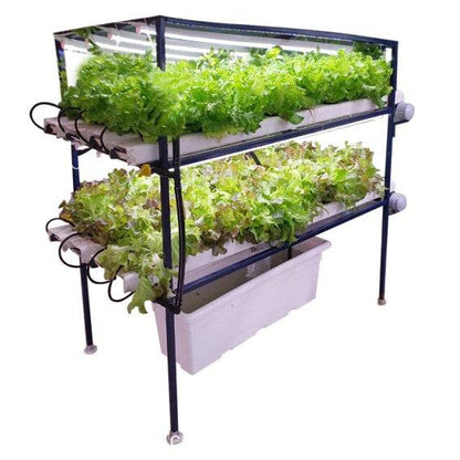 64 Plants Indoor Hydroponic NFT System