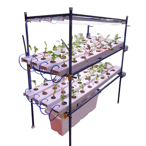 64 Plants Indoor Hydroponic NFT System