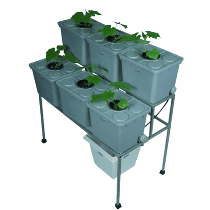 6 Double Decker Dutch Bucket System