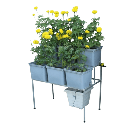 6 Double Decker Dutch Bucket System