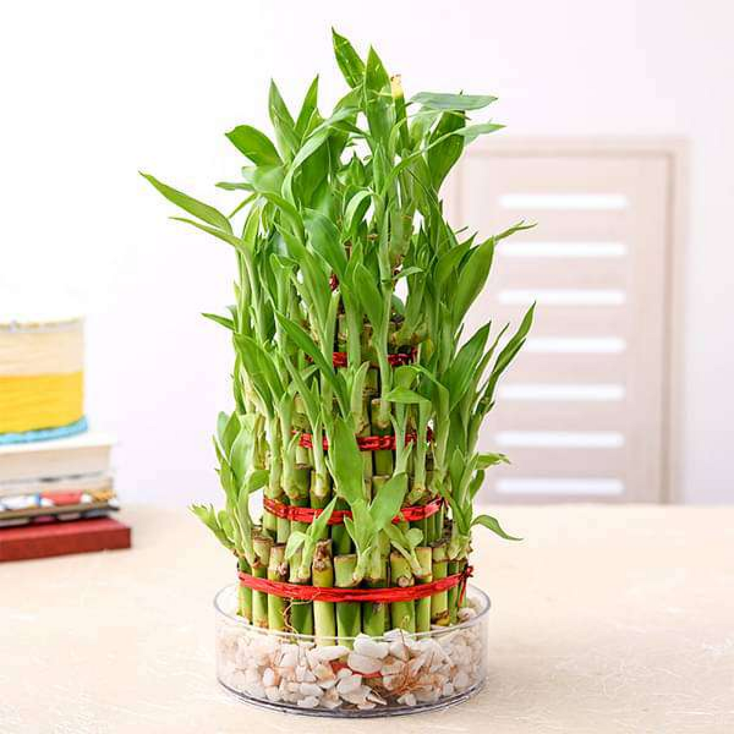 Pineapple Basket Lucky Bamboo in a Bowl with Pebbles