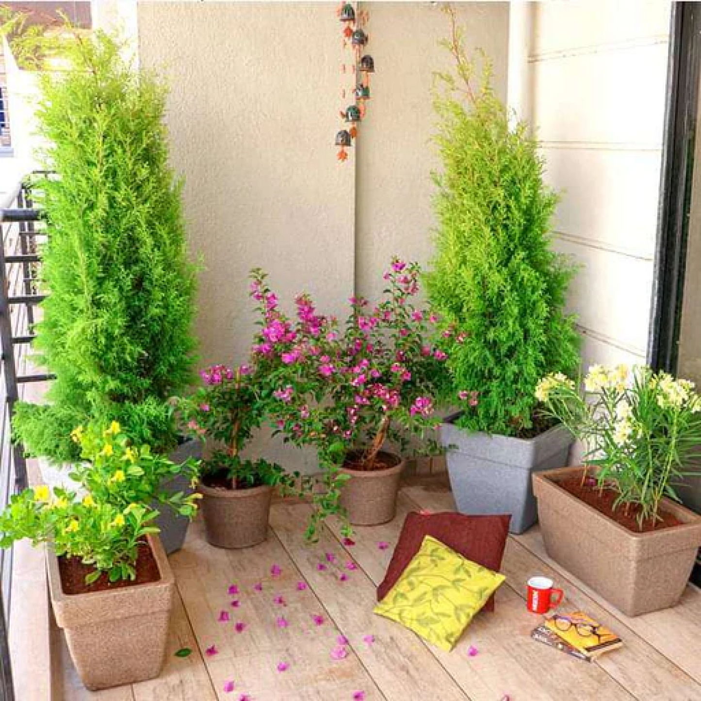 Transform a Sunny Balcony with Perennial Flowering and Foliage Garden Plants